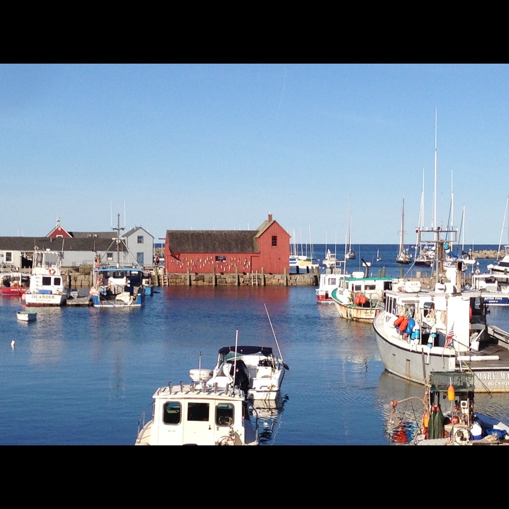 Meet your Posher, Amy